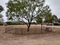 10/83 RV Park - Pet Run
