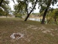 10/83 RV Park - Tent Sites