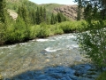 Sawtooths Stream