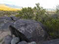 Rock Art - Three Rivers Petroglyph Site