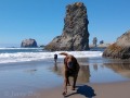 Bandon Beach - Happy pups at play