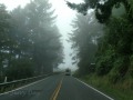 US-101 - Heading for Brookings, Oregon