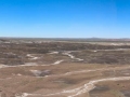 Blue Mesa Badlands at Petrified Forest National Park