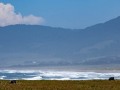Point Arena - Mendocino Coast Vista
