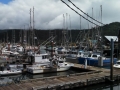 Garibaldi Marina
