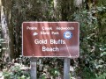 Fern Canyon at Gold Bluffs Beach, Orick