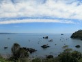 Trindad Bay