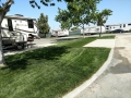 Bakersfield River Run RV Park - Sites