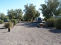 Barstow / Calico KOA - Sites