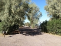 Barstow / Calico KOA - Sites