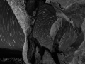 Star Trails Over Cyclops/Triple Arch - Alabama Hills, California