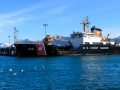 Homer Marina