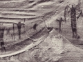 Buckhorn-Wash-Panel-BW-2