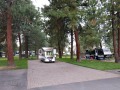 Crown Villa RV Resort - Sites
