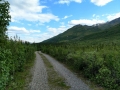 Denali RV Park - Pet Walk