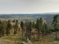 Devils Tower View