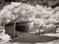 Cutler-Donahoe Covered Bridge - Madison County - Winterset, Iowa