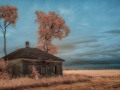 Abandoned Homestead - Humeston, Iowa