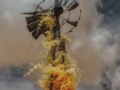 Woodvine-covered Windmill - Milo, Iowa