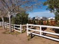 Kingman KOA - Tent Sites
