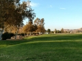 Lake Skinner Recreation Area - Campground Lawn