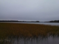 Lake-Itasca-2
