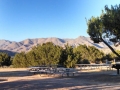 MRF Group Site 1
