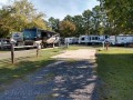 Shreveport KOA - Sites