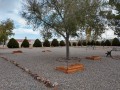 Willcox KOA - Horseshoes
