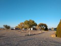 Willcox KOA - Sites