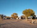 Willcox KOA - Sites