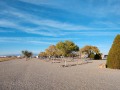 Willcox KOA - Sites
