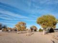 Willcox KOA - Sites