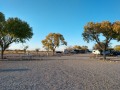 Willcox KOA - Sites