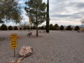 Willcox KOA - Tent Sites