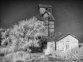 Ardell - Grain Elevator - b/w