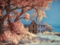 Ardell - Farmhouse & Cottonwoods
