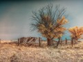 Hasty - Stone Corral & Shed