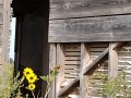 Prairie Ghost - Farm House
