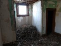 Prairie Ghost - Stone Ranch House - >Something< Nesting