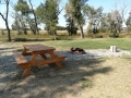 River's Edge RV Park - Sites