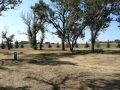 River's Edge RV Park - Sites
