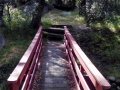 Foot-Bridge-at-Silent-Valley