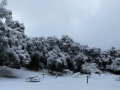 Rare snowfall at Silent Valley Club - Winter 2018