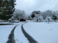 Silent Valley - Winter Wonderland After a Rare Heavy Snowfall
