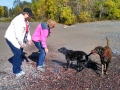 Pups-at-Two-Harbors-2