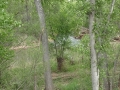 Verde River RV Resort - Verde River Flows Behind Park
