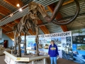 Beringia Interpretive Center - Woolly Mammoth & Kim