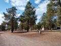 Williams KOA - Sites