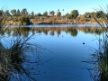 Guajome Regional Park - Pond